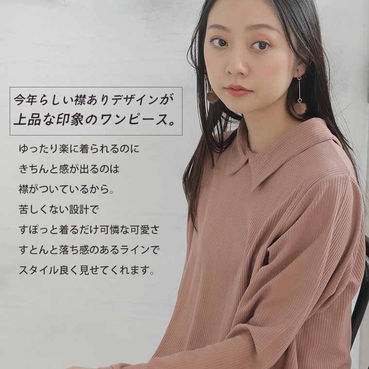 大きいサイズ 大人カジュアル リブシリーズ ポロ襟5L 6L 長袖
