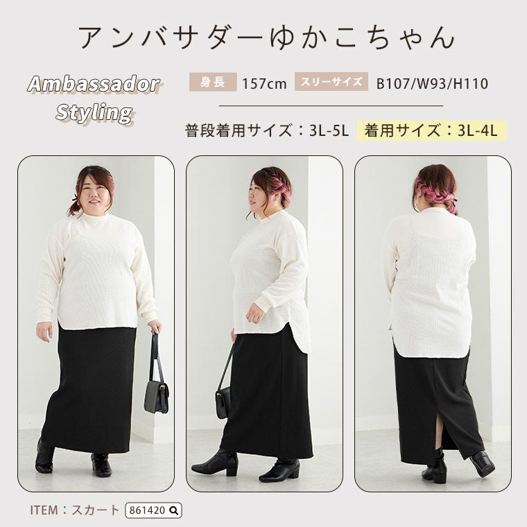 大きいサイズ レディース3L4L まとめ売り 000000024556-21.jpg?size=l&w=