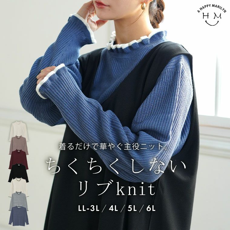 大きいサイズ Tシャツ感覚で使える 首元華やか フリルネック