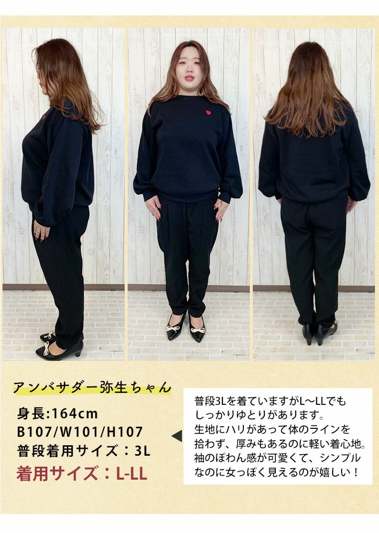 大きいサイズ ハピぽか裏起毛 2デザインから選べる 刺繍トレーナー 毛